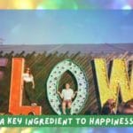 Is Flow The Secret to Happiness?
